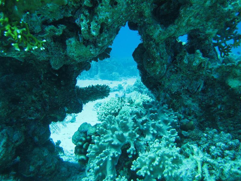 2009-12-01 11-22-17S.JPG